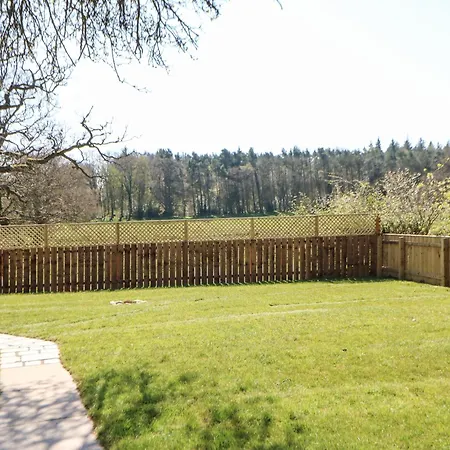 Woodland View