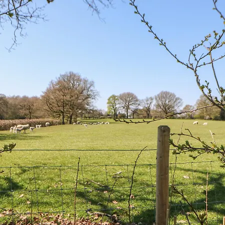 Апартаменты Woodland View *